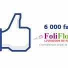 foliflora-facebook-fans